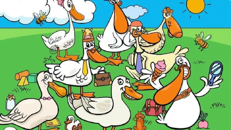 چالش ۶ ثانیه‌ای؛ آیا می‌توانید اردک اسباب‌بازی را در تست بینایی پیدا کنید؟