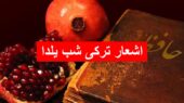 ۲۵ شعر ترکی جذاب برای شب یلدا؛ از طنز کودکانه تا احساس عمیق با معنی ویژه