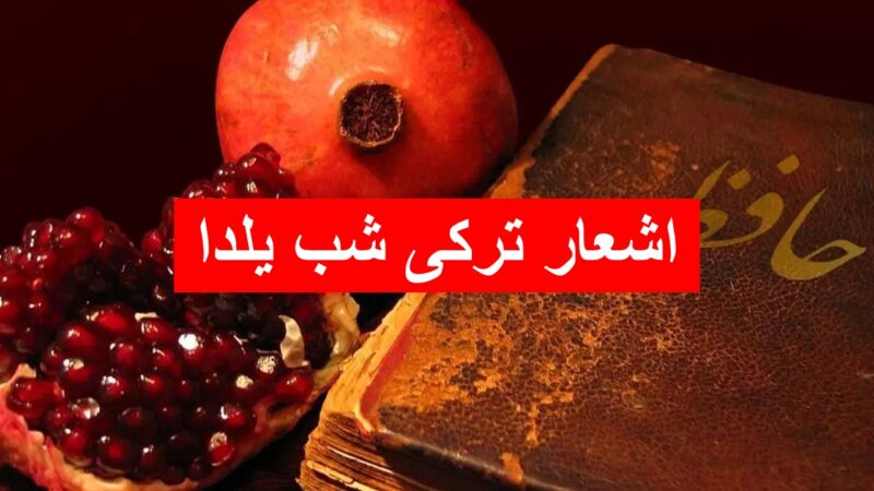 ۲۵ شعر ترکی جذاب برای شب یلدا؛ از طنز کودکانه تا احساس عمیق با معنی ویژه