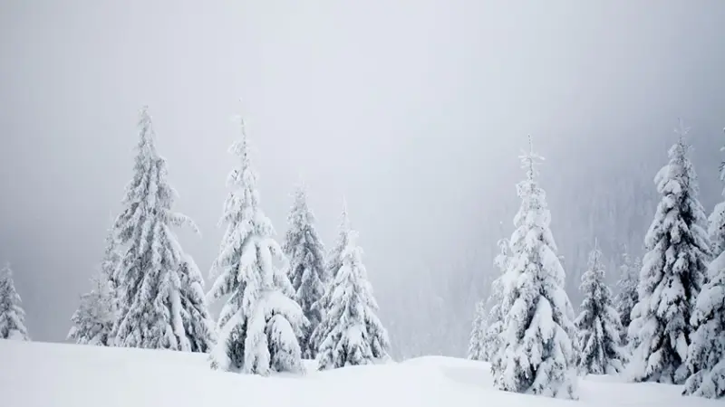 زیباترین اشعار برف و آدم‌برفی که روح زمستان را جلا می‌دهند!