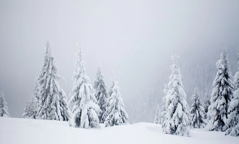 زیباترین اشعار برف و آدم‌برفی که روح زمستان را جلا می‌دهند!