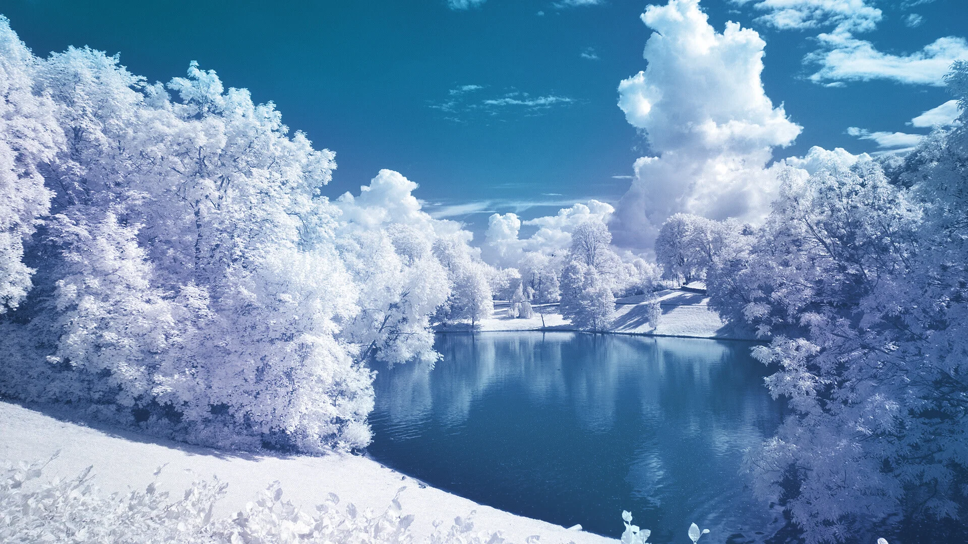 کشف زیبایی‌های زمستان در ۱۲ شعر ناب و فراموش‌نشدنی ایرانی