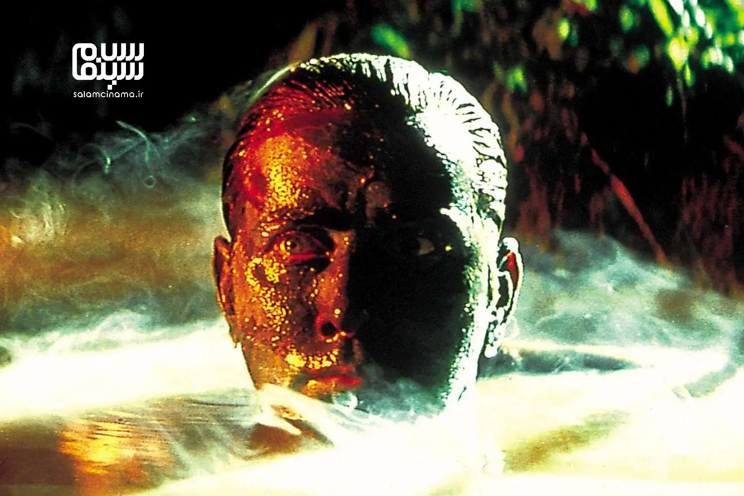 آیا هر فیلم ترسناک واقعا یک فیلم وحشت است؟ حقیقتی که سینماگران درباره ژانر وحشت نمی‌گویند!