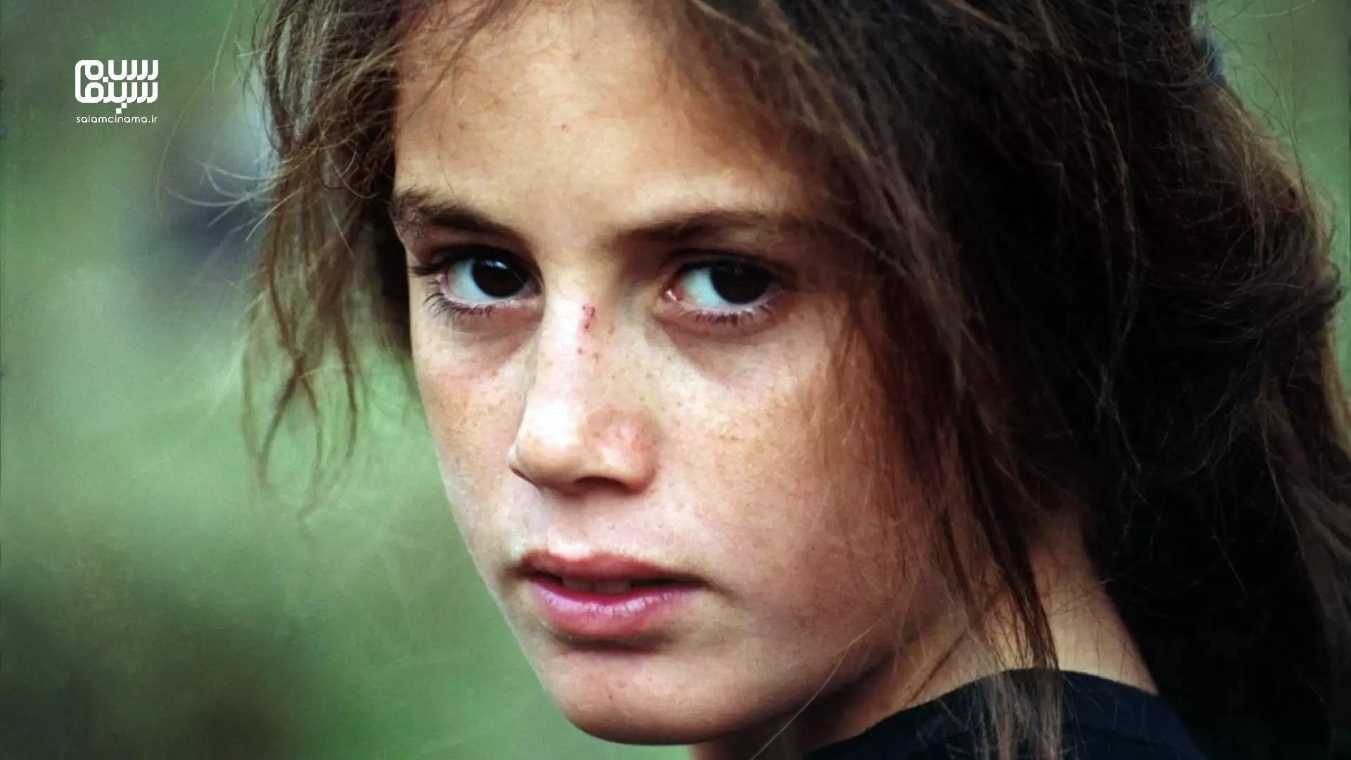 لاک‌پشت‌ها هم پرواز می‌کنند؛ سفری فلسفی به جهان تاریک کودکی بی‌معصومیت