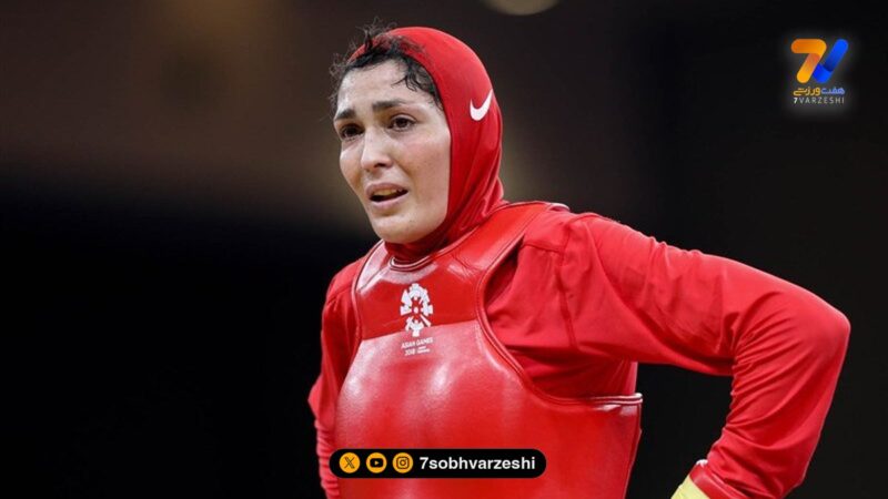 نگاهی به کیک تولد دخترانه و صورتی الهه منصوریان