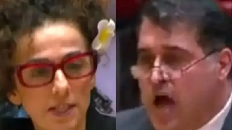 سخنرانی مسیح علی‌نژاد در شورای امنیت برای حمله به ایران!