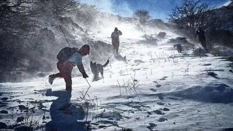 بارش رویایی برف، ارتفاعات تالش را سفیدپوش کرد