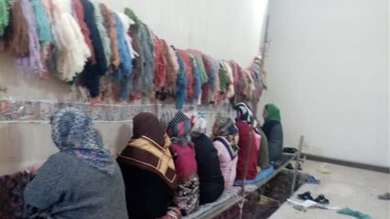 از دار قالی تا معیشت پایدار؛ روایت یک طرح توانمندساز در سیستان+ فیلم