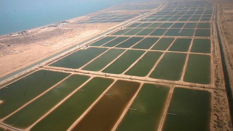 شهرک مولد شیلاتی تنگستان؛ گام بلند در جهش تولید و اقتصاد دریا‌محور