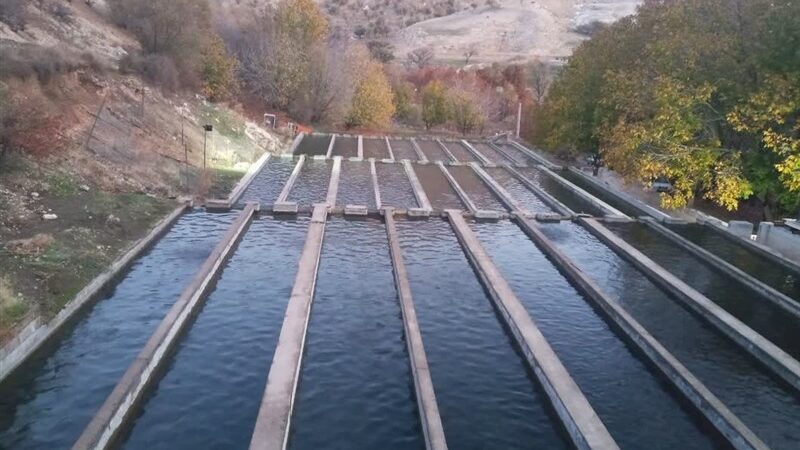 10 همت سرمایه‌گذاری جدید در راه توسعه آبزی‌پروری لرستان