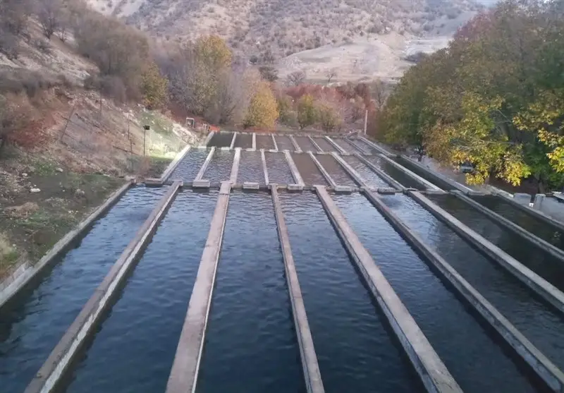 10 همت سرمایه‌گذاری جدید در راه توسعه آبزی‌پروری لرستان