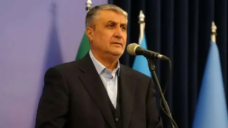 رئیس سازمان انرژی اتمی: قطعات خریداری شده از اروپا به دست سیا و موساد «خرابکاری میکرونی» شده بود