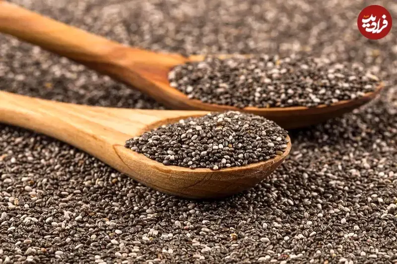 هرم شناور مصر، متفاوت‌ترین اهرام مصر باستان در دل آب‌های نیل