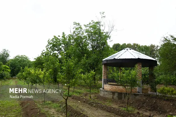شهند: با ۸۱ درصد استعلام‌های پروژه‌ها زیست محیطی ملارد موافقت شده است