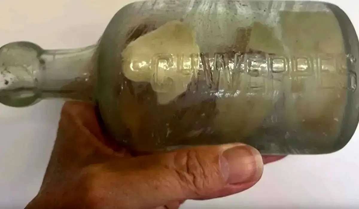 نامه سرباز کشته شده پس از ۱۰۹ سال در بطری پیدا شد