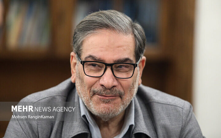 شمخانی: دست مداخله‌گر پیش از رسیدن قطع خواهد شد