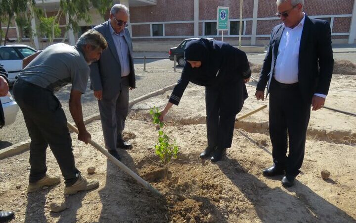 اجرای پویش درختکاری در ۸ نقطه استان سمنان به مناسبت روز پدر