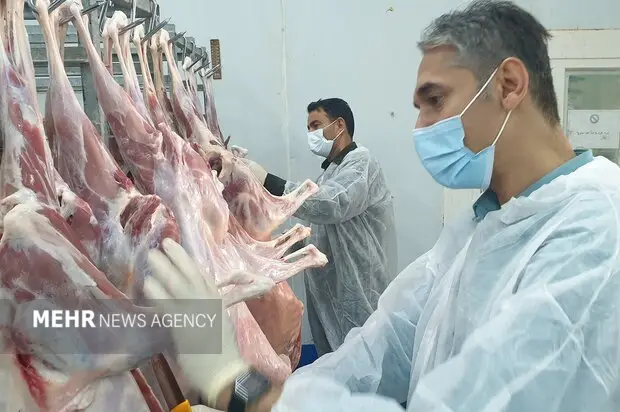 واکنش دامپزشکی گناوه به تعطیلی کشتارگاه سنتی دام