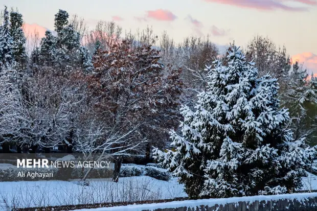 رحمان نیا: بارش پراکنده برف استان زنجان را فرا می گیرد