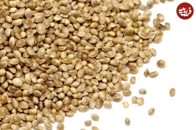 فال ابجد امروز پنجشنبه 11 دی ماه 1404