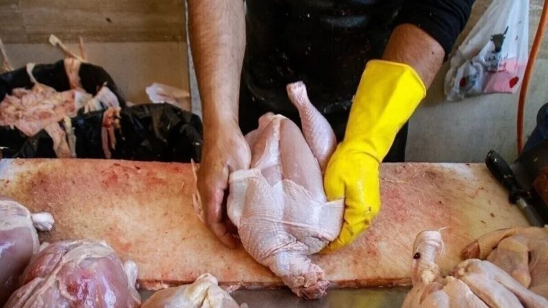 قیمت مرغ به ۲۱۰ هزار تومان رسید