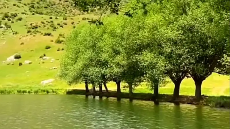 گردشگری| آبگیر قارقچال بالاده از جاذبه های گردشگری مازندران + فیلم