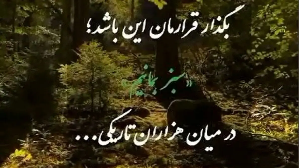 فیلم آواز احساسی؛ این آهنگ هر آدمی رو عاشق خودش میکنه؛ تا کی به تمنای وصل تو یگانه
