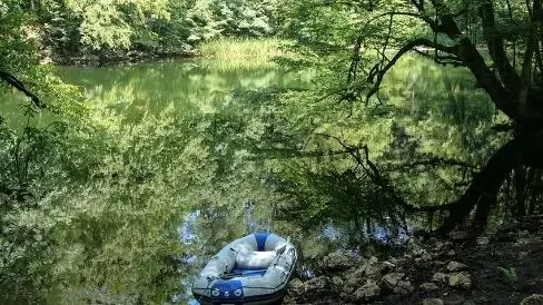 گردشگری| دریاچه فراخین؛ زیبایی پنهان جنگل‌ های هیرکانی که باید ببینید