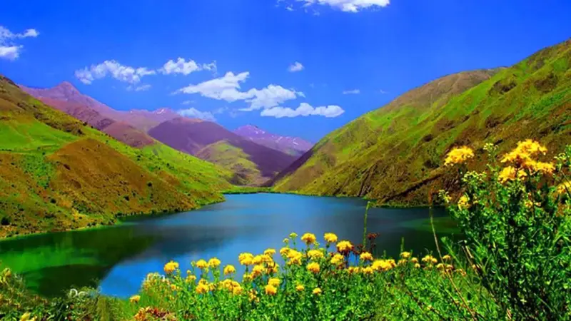 فال و طالع بینی سوم بهمن 1404