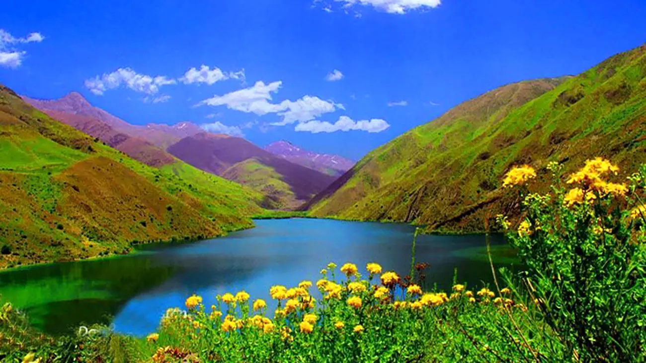 فال و طالع بینی سوم بهمن 1404