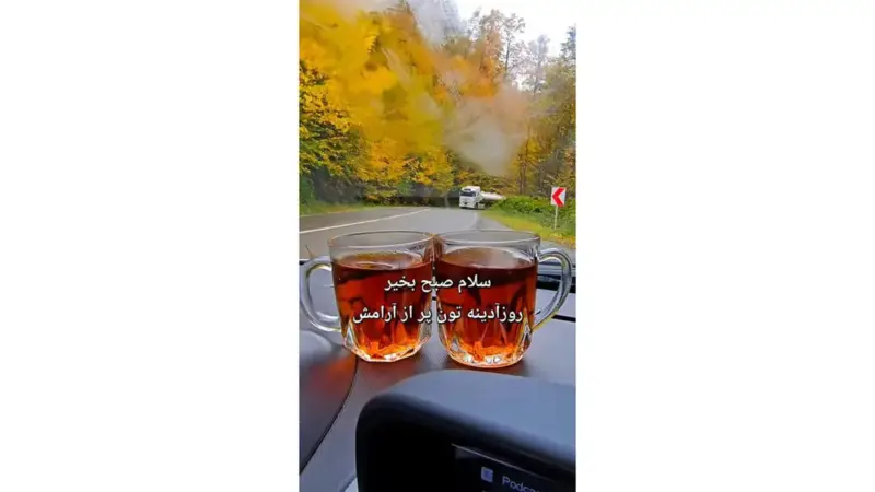 تفسیر فال حافظ امروز 11 دی