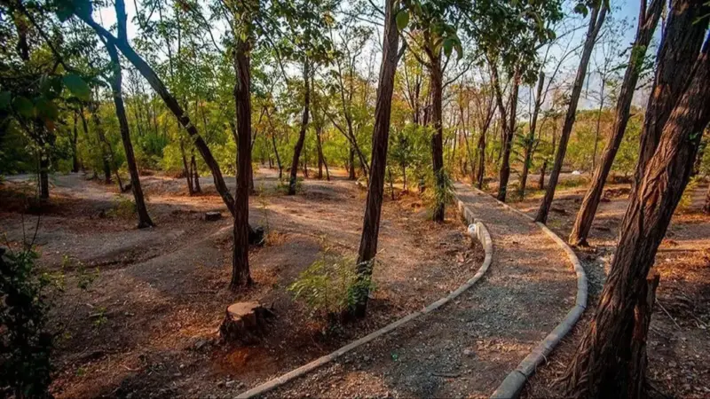 پیک‌نیک| پارک خرگوش دره تهران؛ مقصدی مناسب برای طبیعت گردی