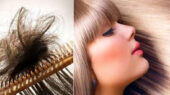 بهترین شامپوها جهت شلاقی شدن مو و ازبین بردن موخوره را بشناسید!
