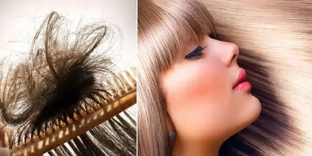 بهترین شامپوها جهت شلاقی شدن مو و ازبین بردن موخوره را بشناسید!