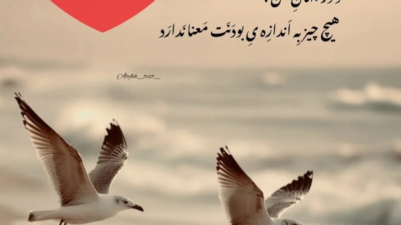 طالع‌بینی روز؛ اگه الان دلت بی‌قراره و هیچ پیام و تماسی نمیدی، بدون الان بیشتر از همیشه داره با دلش میجنگه/ تقویم نجومی، اعمال، ذکر و نماز روز پنج‌شنبه 11 دی 1404