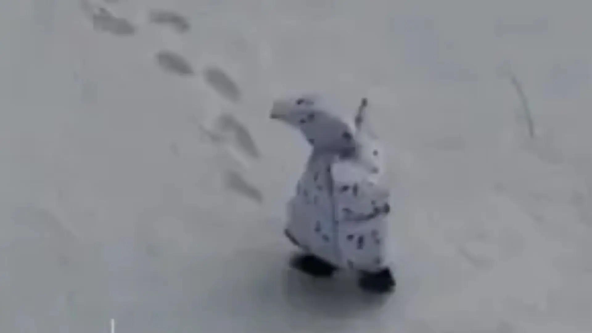 فیلم | لحظه دلخراش کشته شدن سرباز روسی با پهپاد اوکراینی