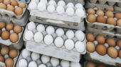 قیمت تخم مرغ امروز ۱۲ بهمن؛ یک شانه تخم مرغ چند؟