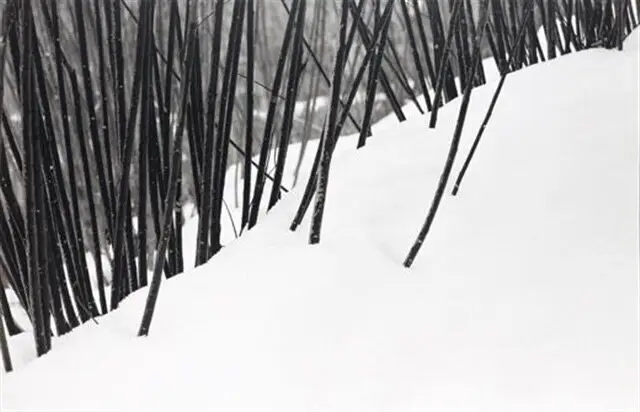 از عکس های عباس کیارستمی