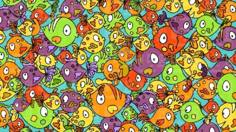 چالش دیدنی و سخت: مرغ پنهان در میان ماهی‌ها را در ۸ ثانیه پیدا کنید!