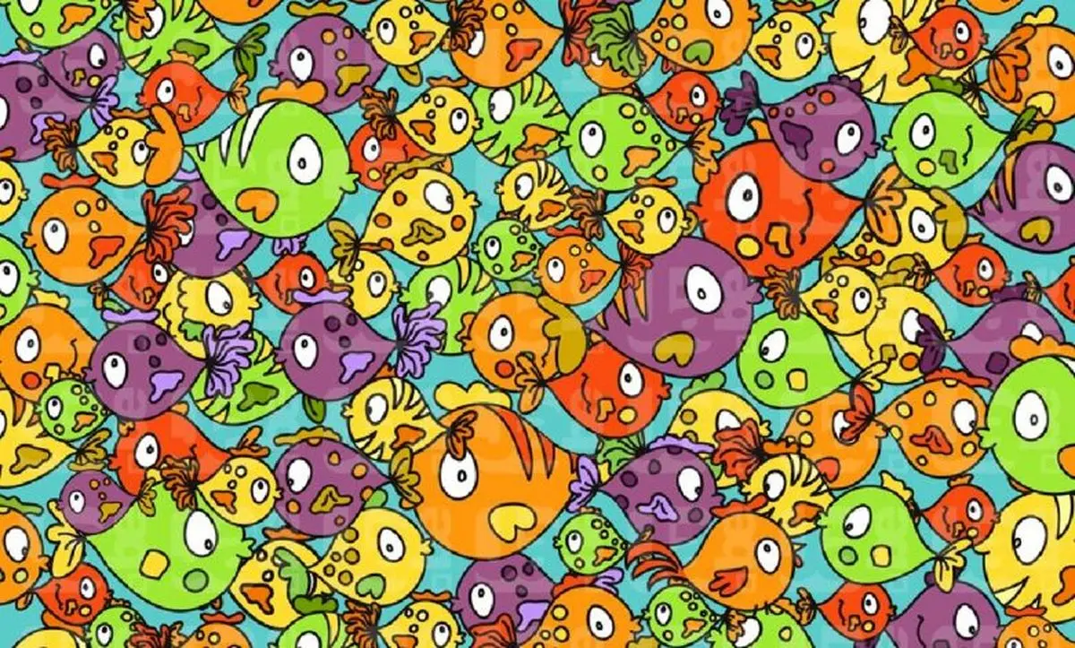 چالش دیدنی و سخت: مرغ پنهان در میان ماهی‌ها را در ۸ ثانیه پیدا کنید - وب‌گردی