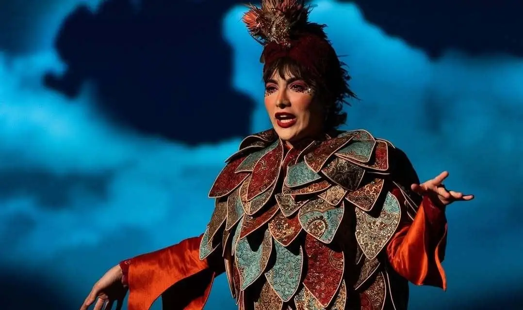 ریحانه رضی بازیگری