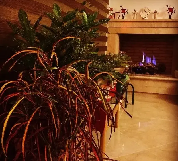 شریفی+نیا (1)