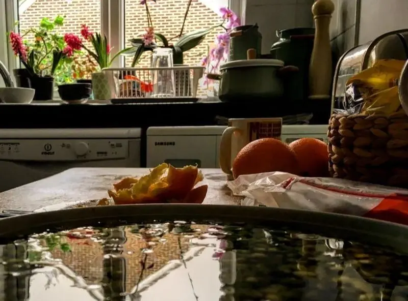 منزل فلامک جنیدی