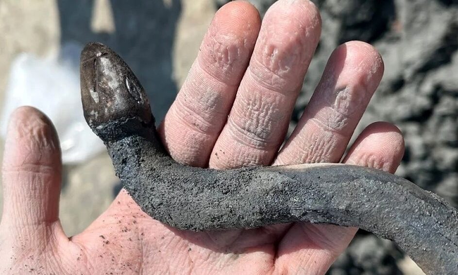 گنج «مارِ نگهبان» بعد از دو هزار سال از «چشمۀ آبگرم» بیرون آمد - وب‌گردی