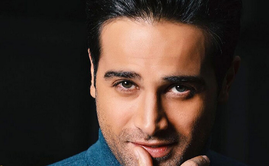 بیوگرافی آرمان درویش همسر اول دختر ژاله صامتی - وب‌گردی