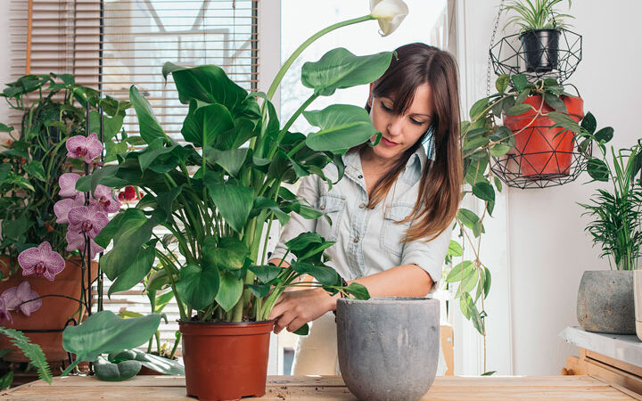 سرگرمی برای زنان خانه دار