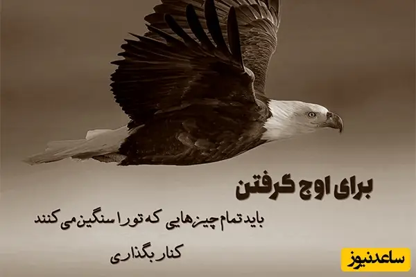 کائنات پیام ویژه ای برات داره / حواسمون باشه کجا داریم انرژیهامون رو هدر میدیم…/ پیام انگیزشی امروز 29بهمن 1404+ ویدئو