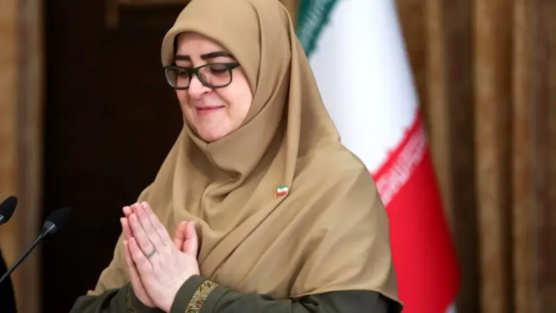 توضیح سخنگوی دولت درباره اقدامات کمیته حقیقت‌یاب حوادث دی‌ماه