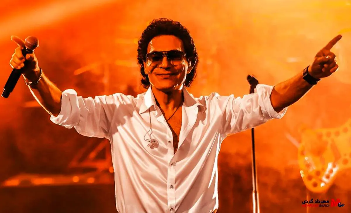 اندی در لس‌آنجلس بازداشت شد - وب‌گردی