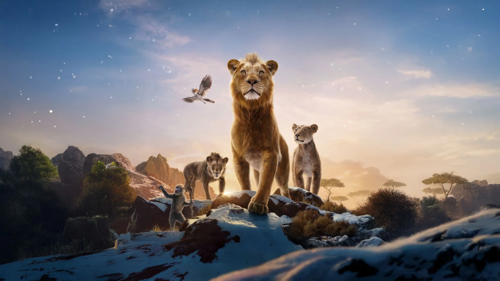 معرفی موفاسا: شیر شاه (Mufasa: The Lion King) - فیلم و سریال